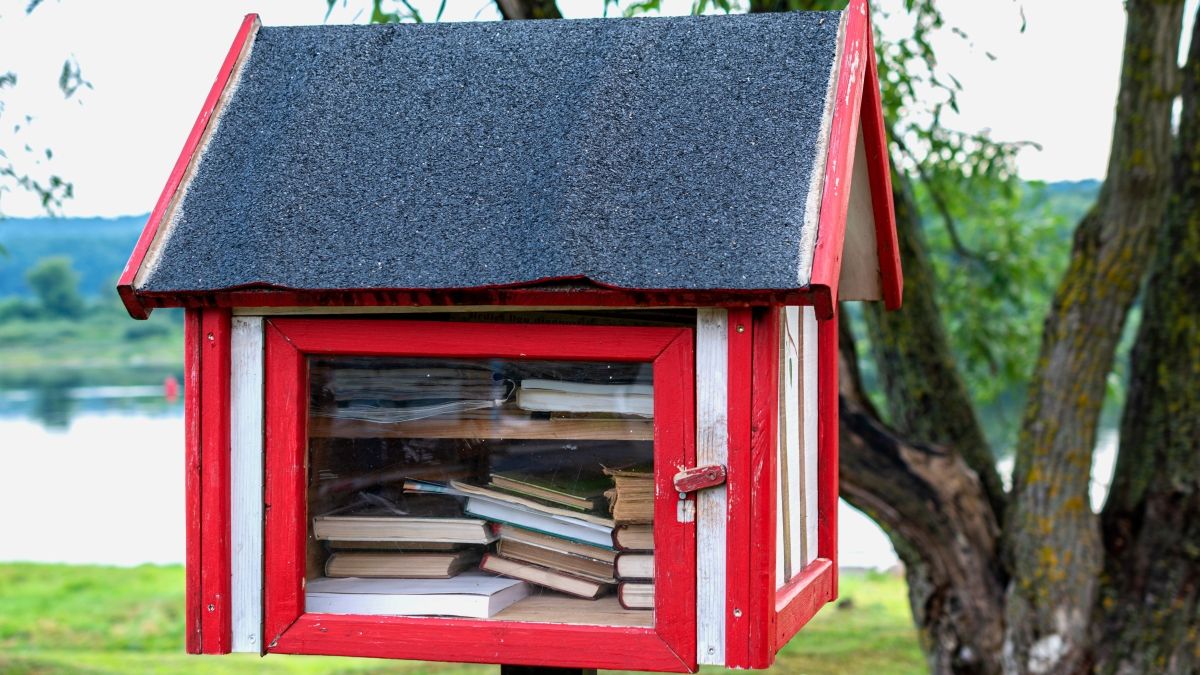 red sharing library box