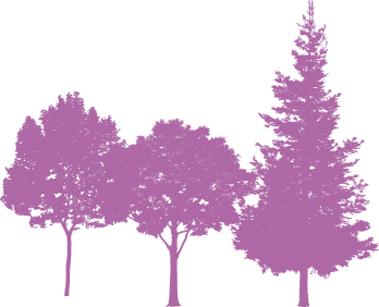 Trees illustration